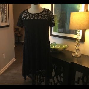 Lane Bryant Little Black Lace Dress